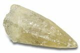 Yellow Scalenohedral Calcite Crystal - Missouri #252130-1